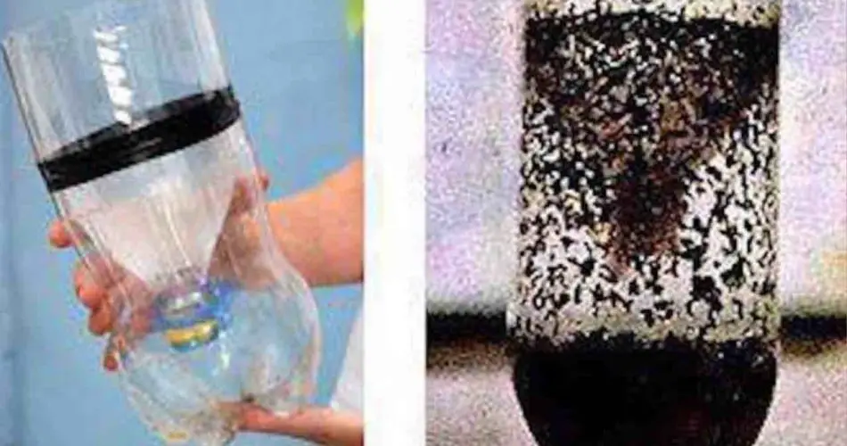 Trampa casera para mosquitos, el único remedio natural que los elimina a todos