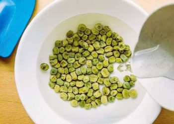 5 buenas razones para remojar las semillas antes de plantarlas