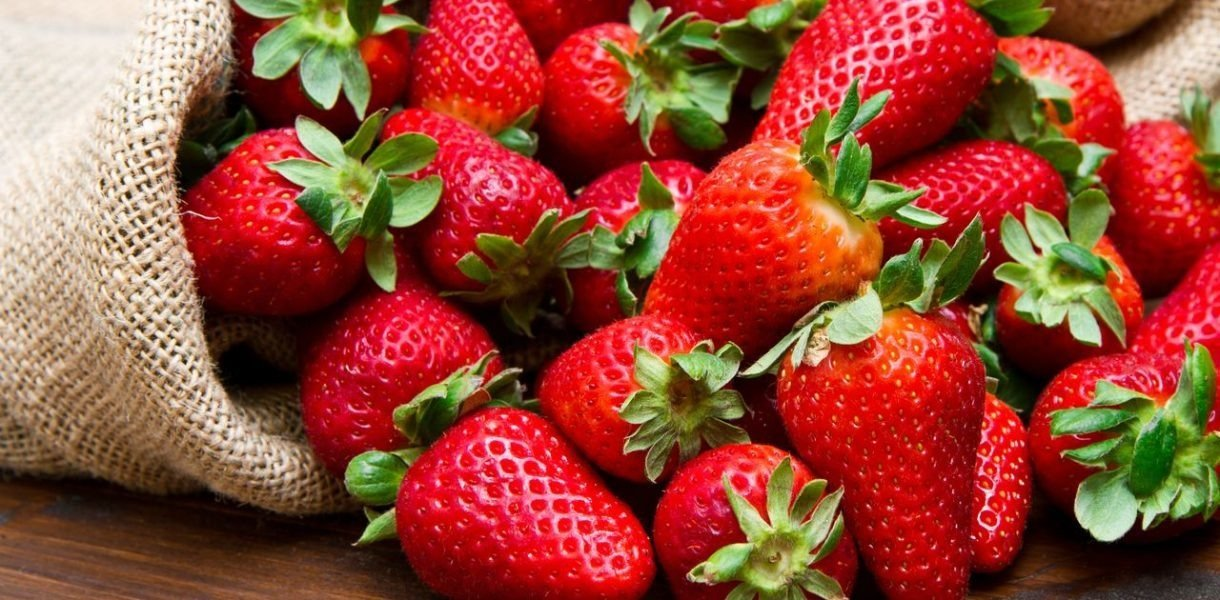 5 consejos para tener fresas bonitas en tu jardín