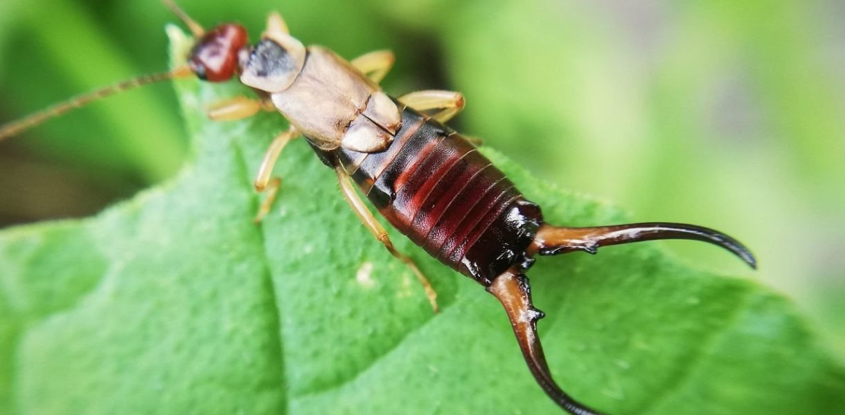 6 consejos para eliminar los sonidos pegajosos