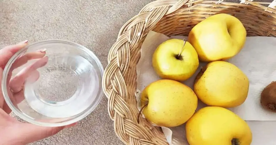 Adiós moscas de la fruta, con este remedio natural las ahuyentas en un instante