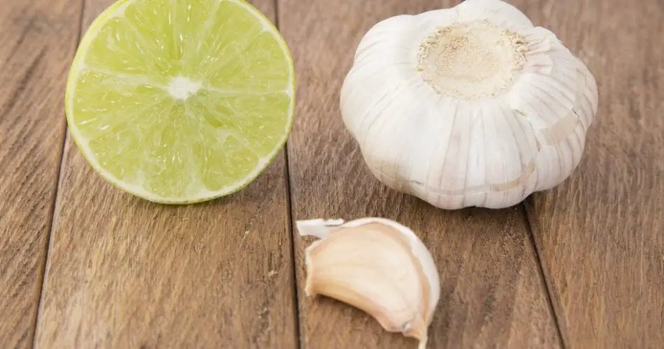 Ajo, cebolla y perejil