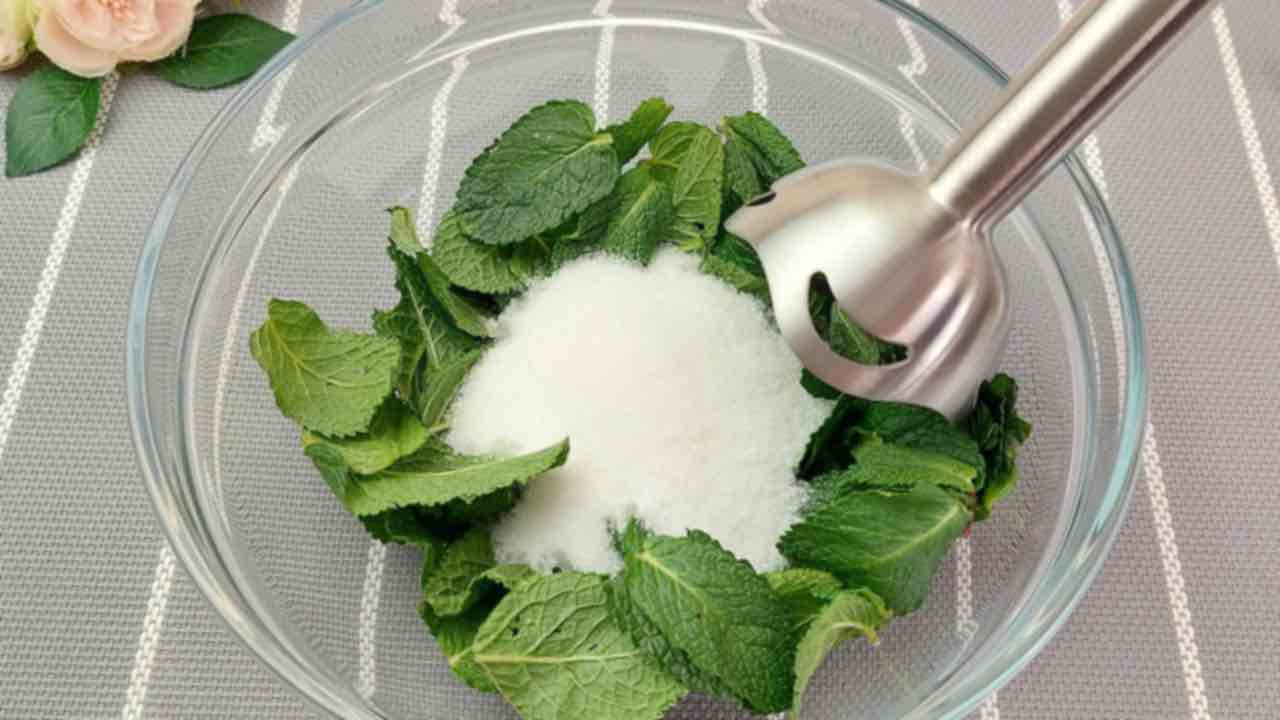Azúcar y menta, combínalas y verás el resultado: quizás no puedas imaginarlo