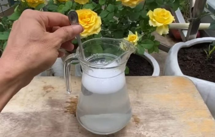 Bicarbonato de sodio, una cucharadita para las plantas: lo que verás será extraordinario