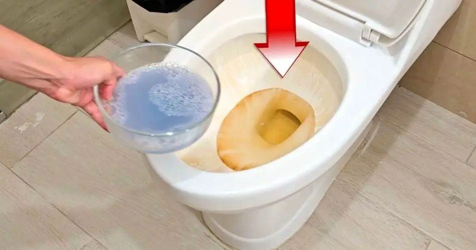 Esta mezcla potente y natural elimina todas las manchas y olores de orina