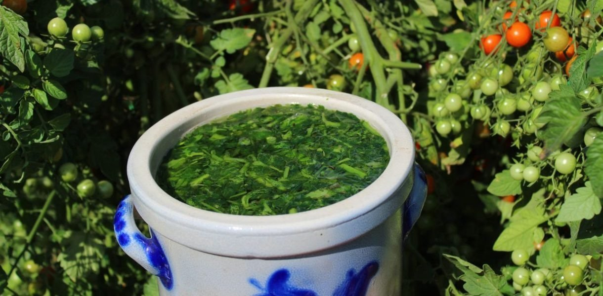 Estiércol de tomate: un fertilizante natural para un jardín saludable