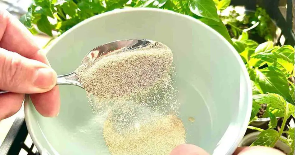 Esto acelera significativamente el crecimiento de tus plantas en el balcón y el jardín