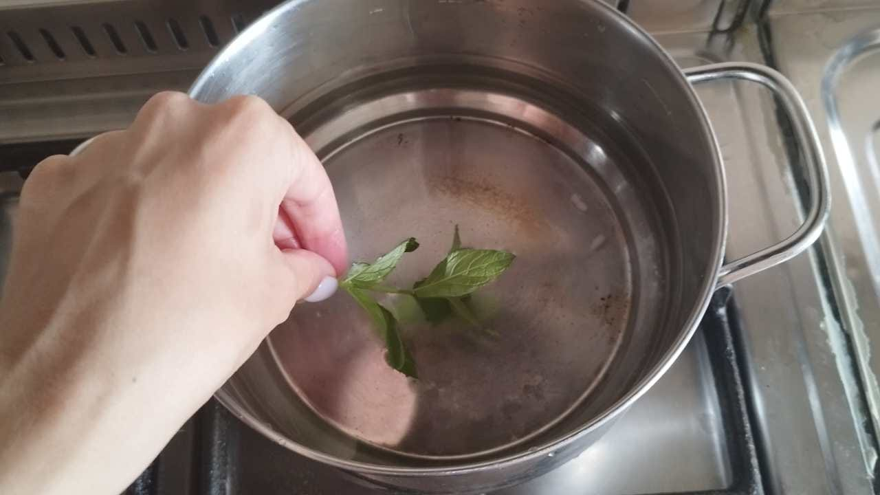 Hervir hojas de menta en una olla: esto sucede en la casa 10 minutos después