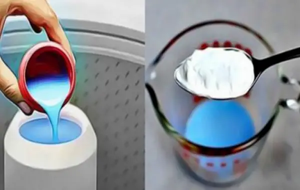 La mezcla que hará tu casa tan perfumada… Tus vecinos te pedirán el secreto