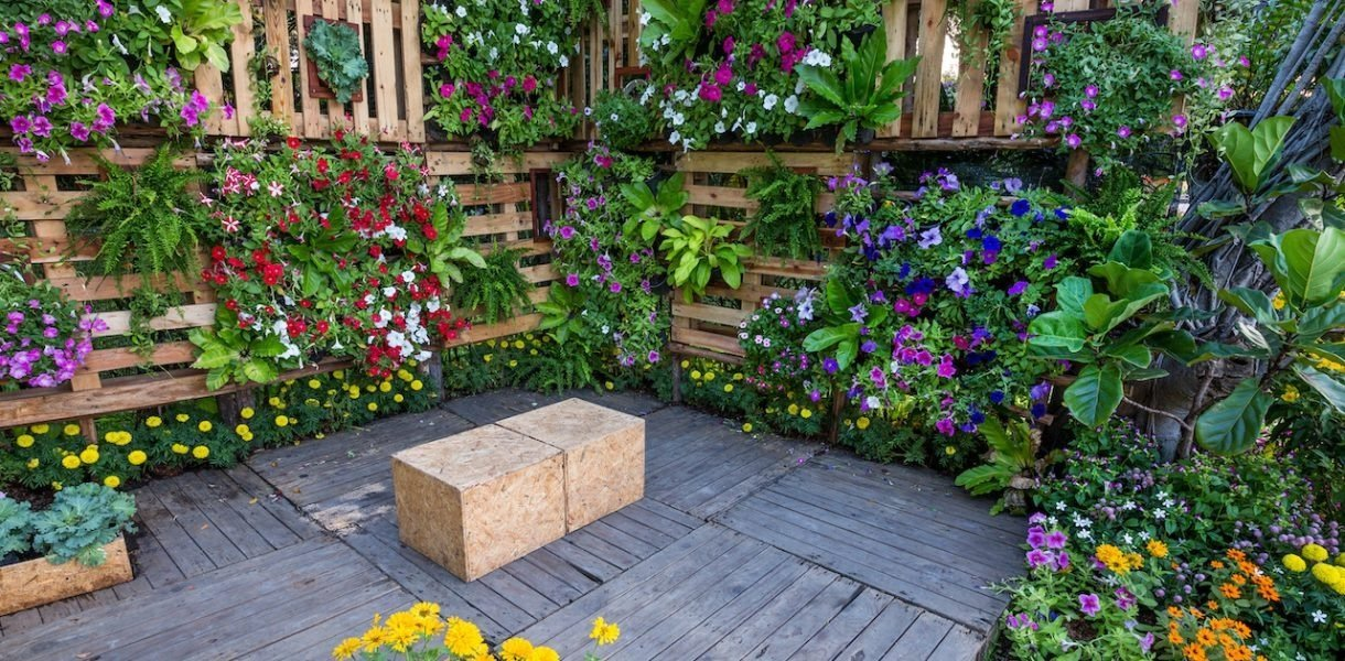 Los secretos para crear un jardín vertical exitoso en 4 pasos