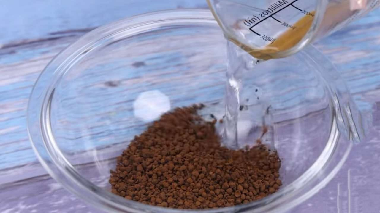 Mezcla alcohol con café y te lo agradecerás eternamente: el truco de los abuelos mayores