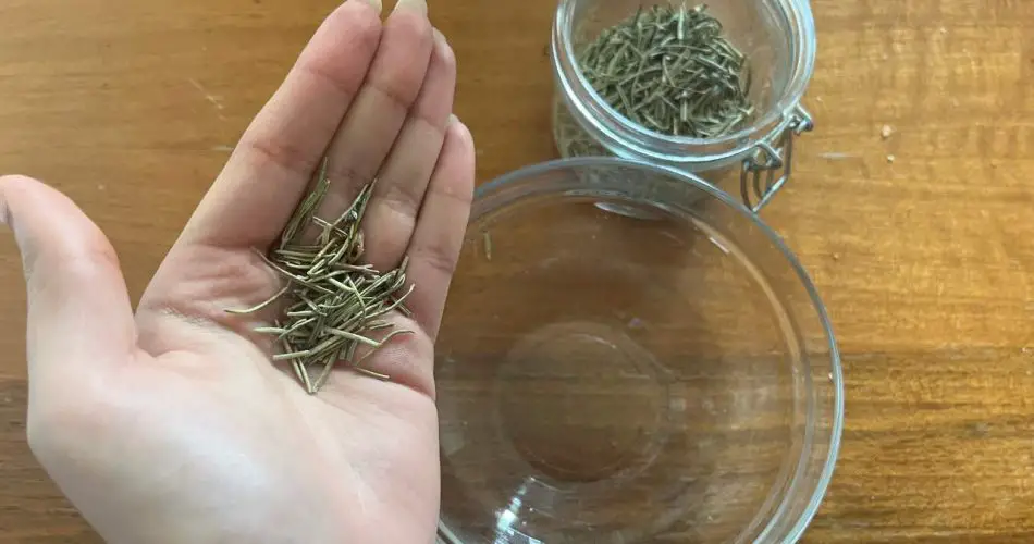 Mezcla alcohol con romero y espera los resultados, no podrás vivir sin ello