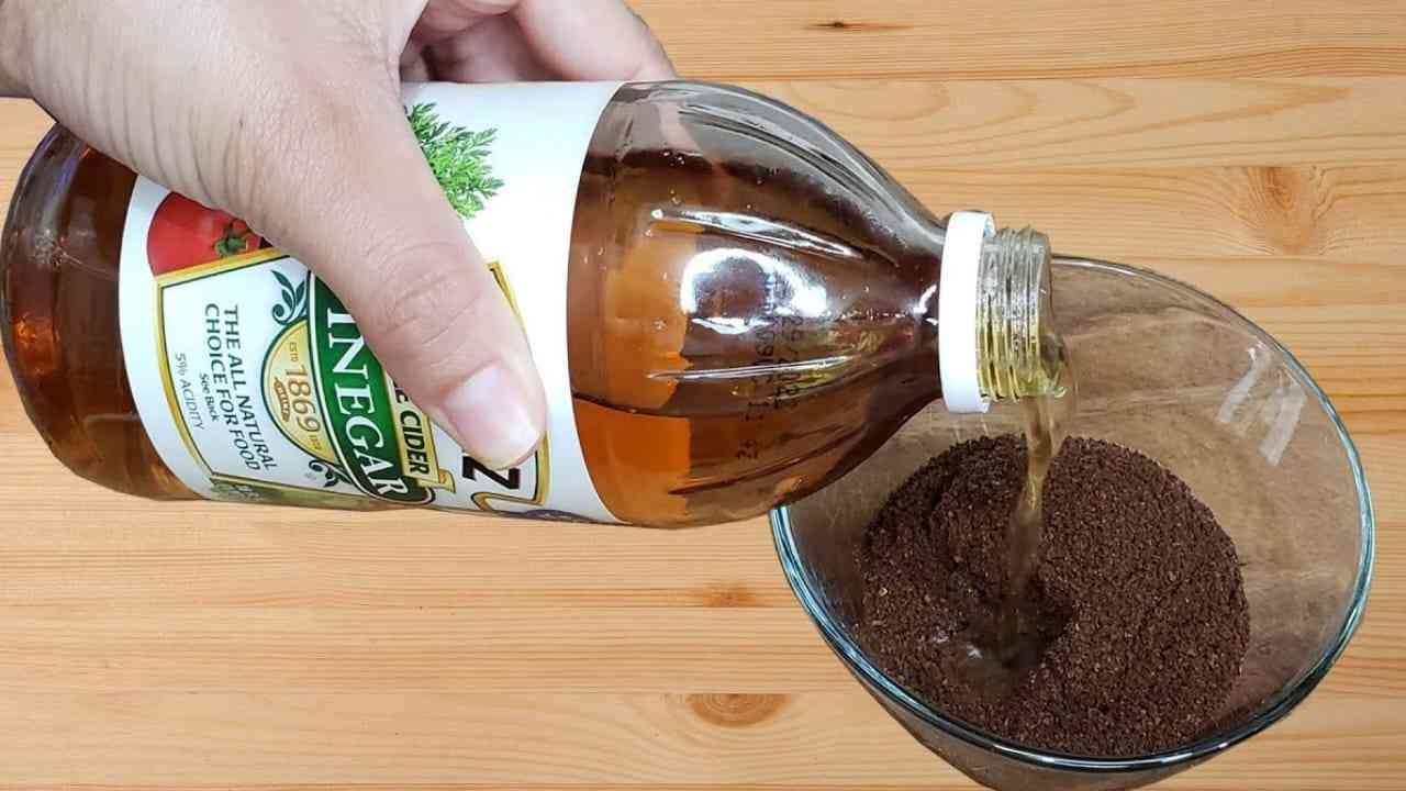 Mezcla café y vinagre, por eso millones de amas de casa italianas lo hacen