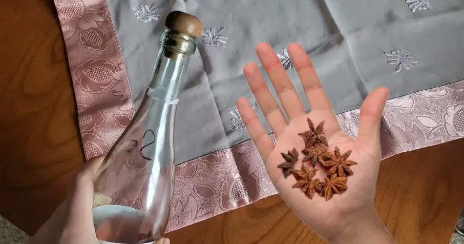 Mezcle anís y vinagre blanco. Lo que sucede después podría sorprenderle: Muy útil para el hogar
