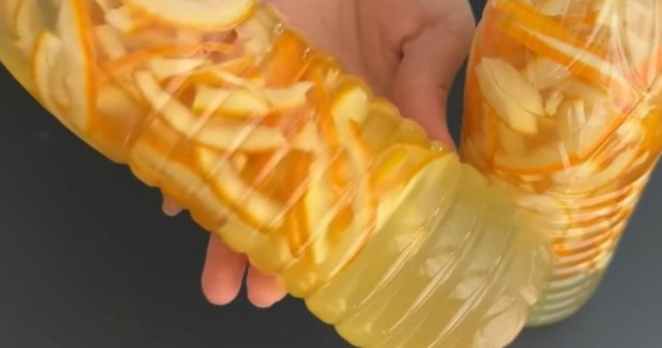 Pongo las cáscaras de naranja en una botella: ¡con ellas hago de todo! Desde que descubrí este método, ya no las tiro.