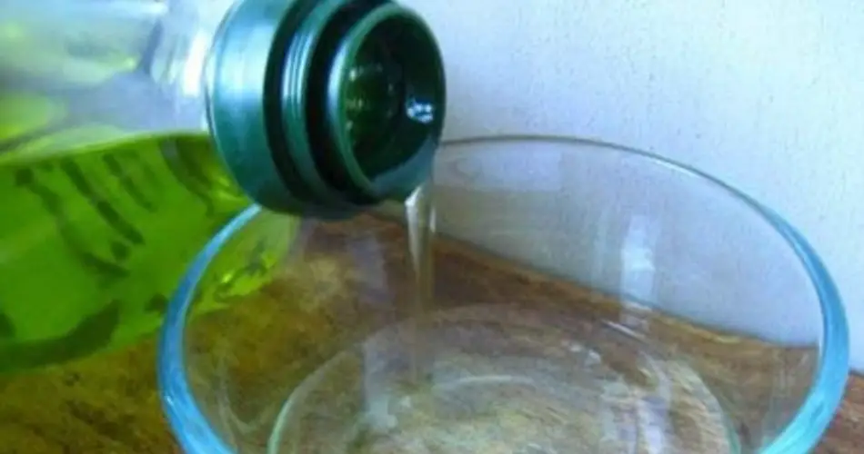 Prepáralo contra los insectos, solo se necesitan pocos ingredientes para hacerlos desaparecer