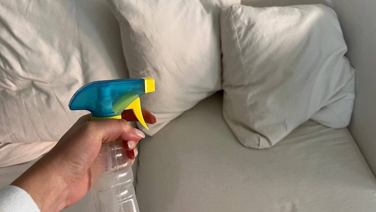 Rocíe vinagre de vino sobre su sofá en casa, el resultado podría sorprenderle
