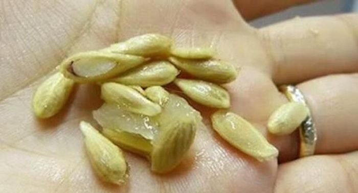 Semillas de limón, deja de tirarlas al cubo: no tienes idea de los beneficios que esconden