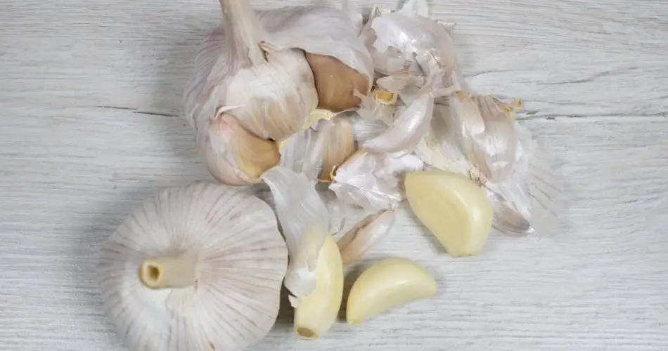 Siempre guardo las pieles de ajo. Déjame compartir contigo el secreto de mi abuela.