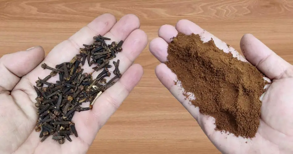 Solo mezcla clavos de olor con café y ya no necesitarás comprarlos en el mercado.