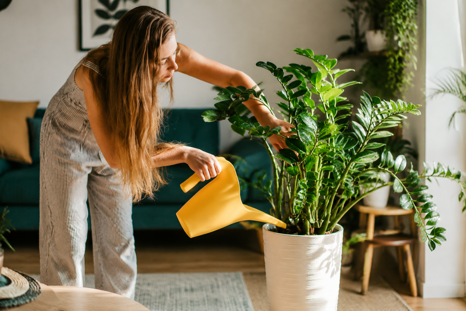 4 usos del peróxido de hidrógeno para las plantas que desconocías