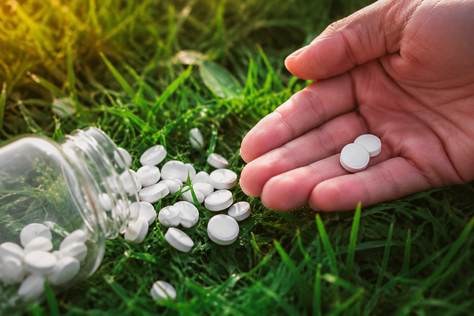 7 buenas razones para usar aspirina en tu jardín