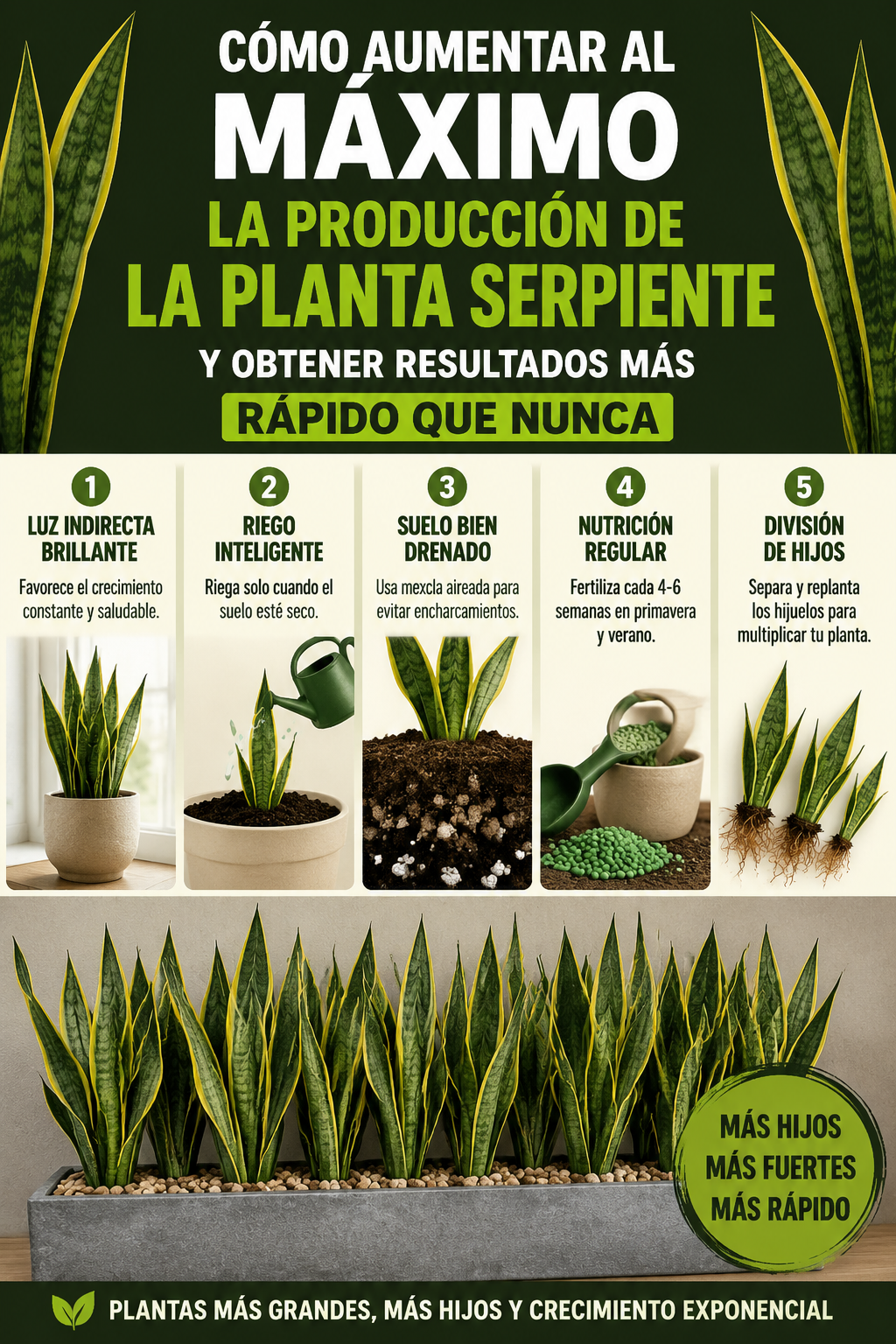 Cómo aumentar al máximo la producción de la planta serpiente y obtener resultados más rápido que nunca