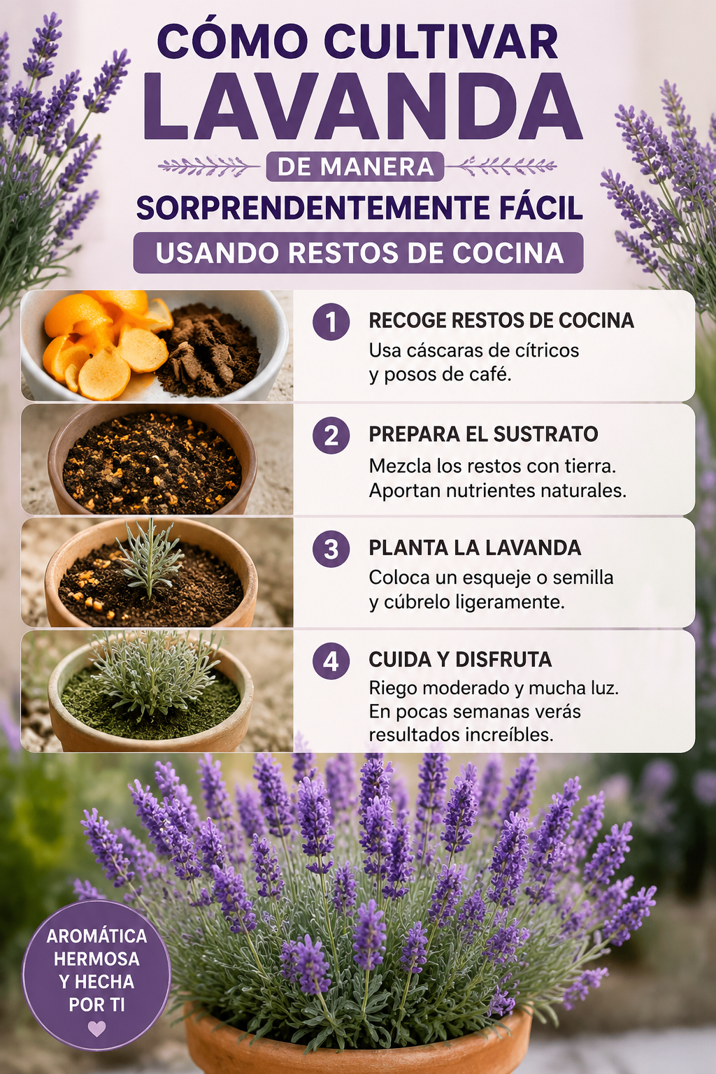 Cómo cultivar lavanda de manera sorprendentemente fácil usando restos de cocina