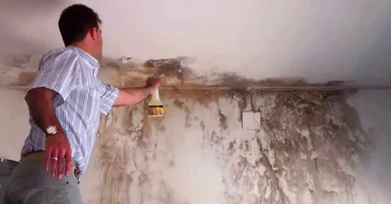 10 consejos para eliminar las manchas de humedad de las paredes pintadas