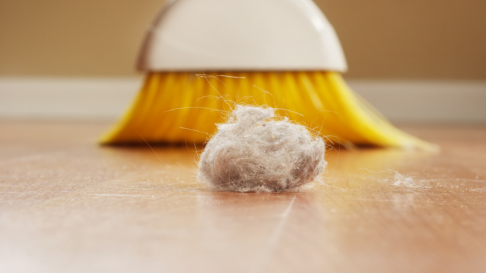 3 consejos prácticos para desempolvar la casa