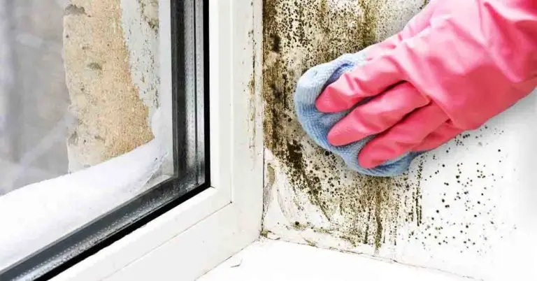 4 consejos para eliminar el moho alrededor de las ventanas
