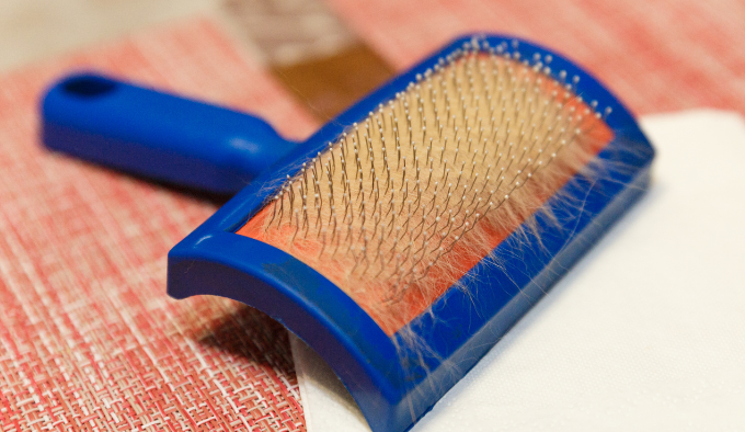 4 trucos para eliminar el pelo de las mascotas de la ropa y toda la tapicería de tu casa