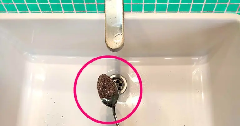 5 consejos de la abuela para eliminar el olor a cloaca del baño