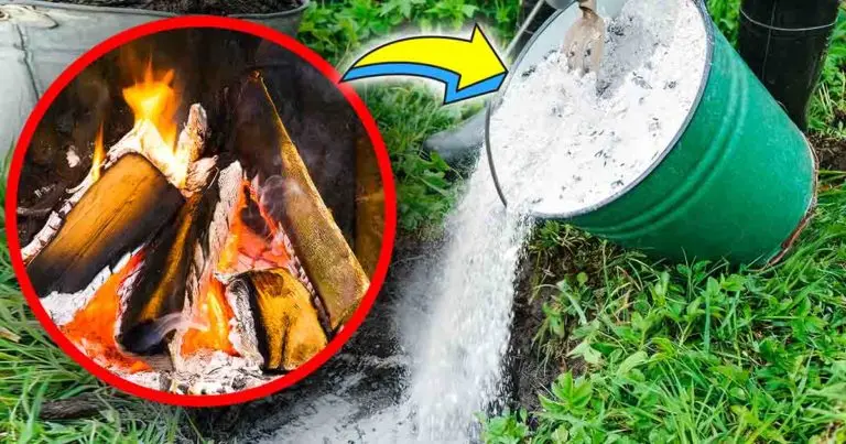 5 usos de la ceniza de la leña de la chimenea para la casa y el jardín
