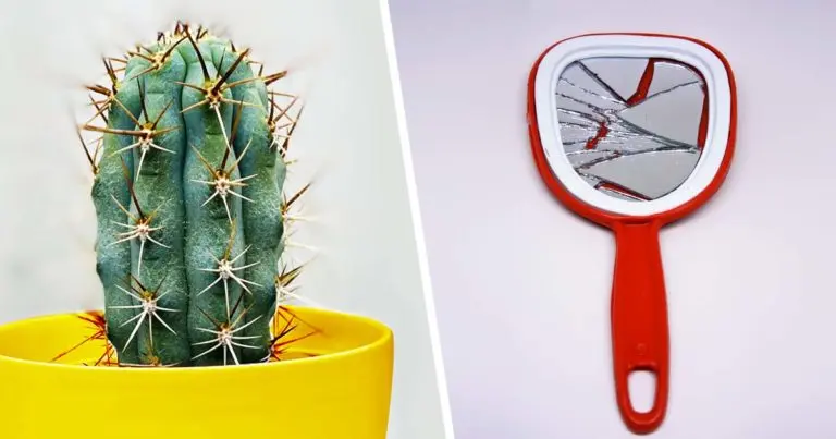 Artículo de mala suerte: 10 cosas de las que deberías deshacerte