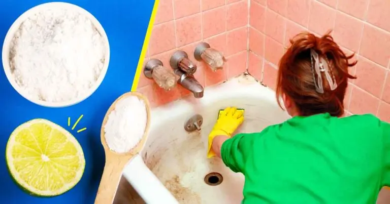 Así es como eliminar todo el moho del baño por menos de 10 céntimos