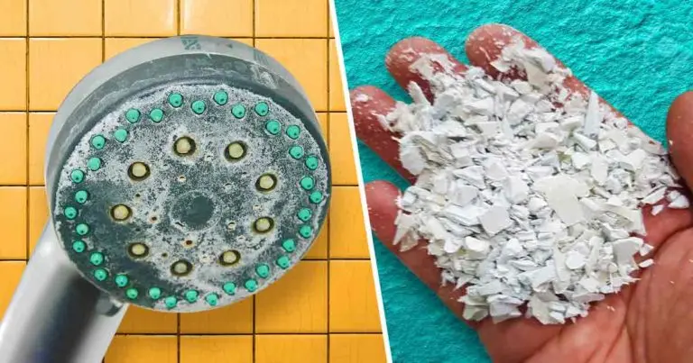 Así se elimina la cal del cabezal de la ducha para aumentar la presión del agua