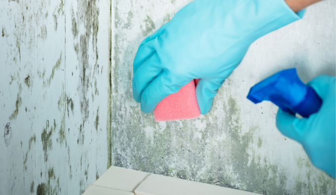 Cómo reparar una pared con humedad: método rápido, económico y eficaz