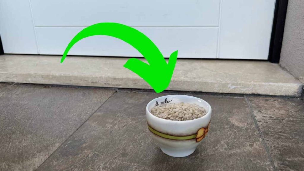 De ahora en adelante, poned una taza de arroz junto al aperitivo: quedaréis encantados con el resultado
