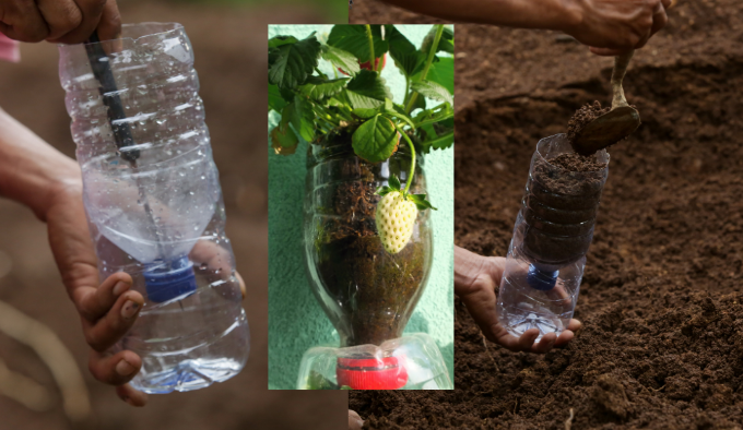Descubre cómo hacer macetas autorriego con botellas de plástico