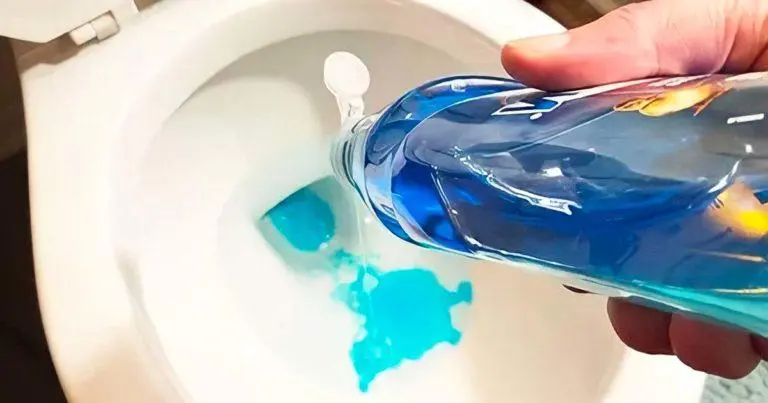 El truco para destapar el WC en 5 minutos