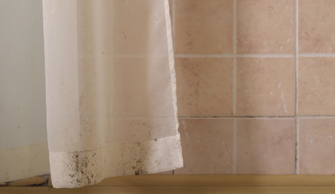 Elimina el moho negro de las cortinas del baño en solo 5 minutos