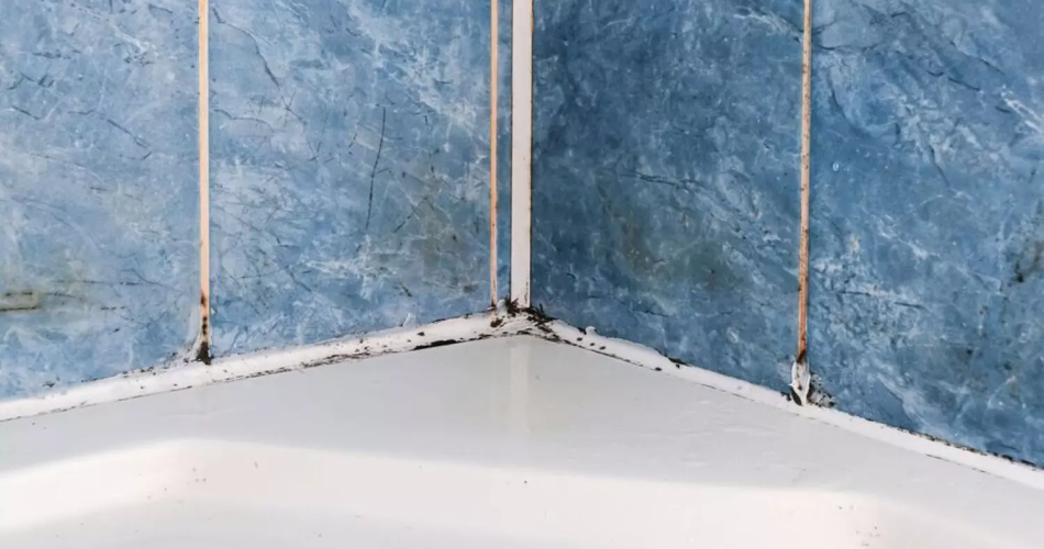 Elimina las malas hierbas entre las baldosas en un abrir y cerrar de ojos con un sencillo objeto doméstico