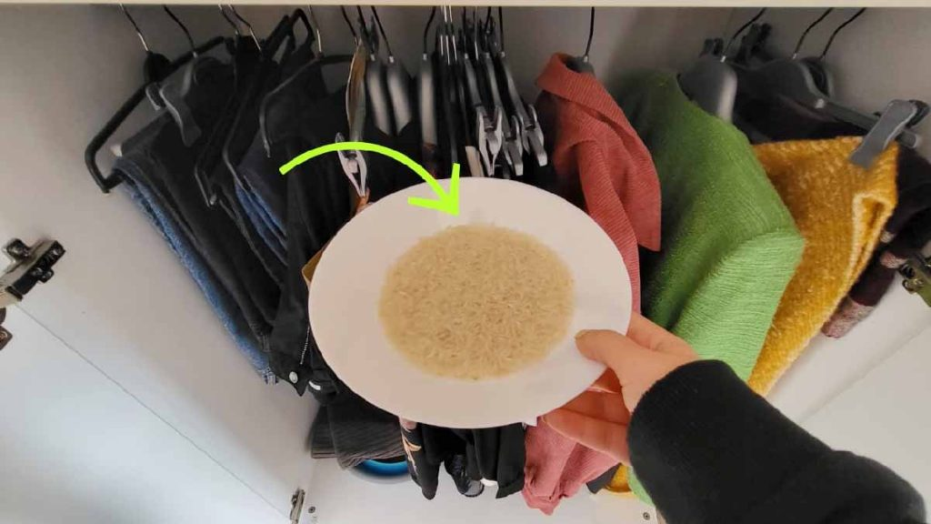 Esto es lo que sucede cuando pones un tazón de arroz en el armario: te sorprenderá el resultado
