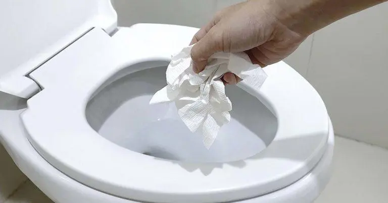 Papel higiénico: presta atención a este detalle para evitar atascos en las tuberías