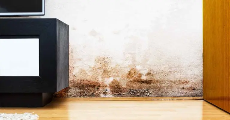 Un método para reparar una pared húmeda de forma rápida y eficiente