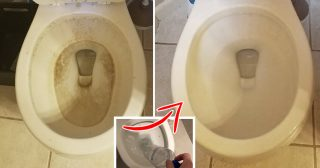 Vierte este ingrediente natural en el WC para iluminar y perfumar en 5 segundos
