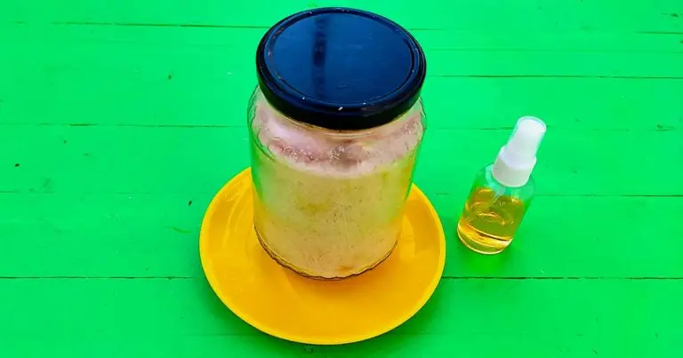 ¿Cómo hacer un absorbente de humedad? La guía paso a paso
