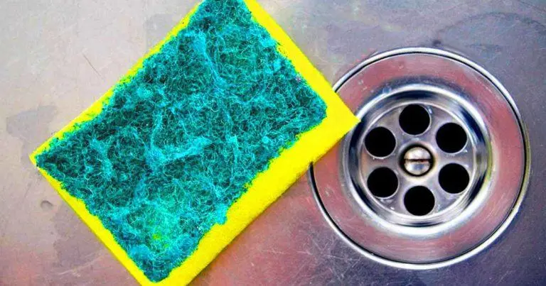 ¿Con qué frecuencia se deben cambiar las esponjas de cocina?