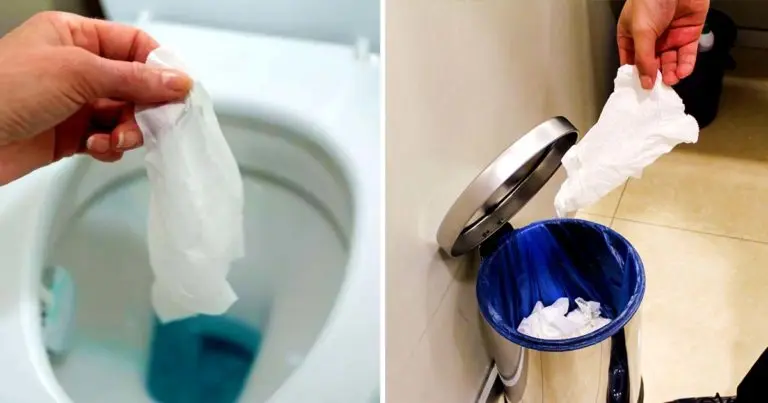 ¿Deberías tirar el papel higiénico en la basura o en el inodoro?